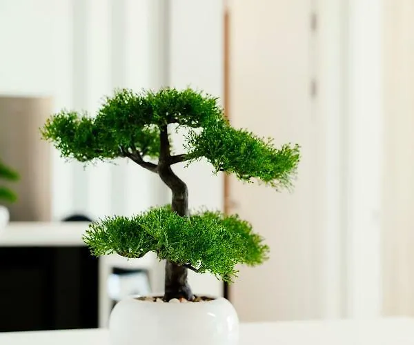 New Luxury Nives On Seaside Apartment *